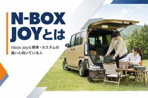 キャンプ場に停めたN-BOX JOYのイメージ